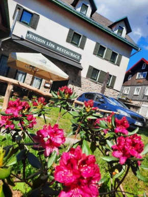 Pension Lípa Horní Marsov